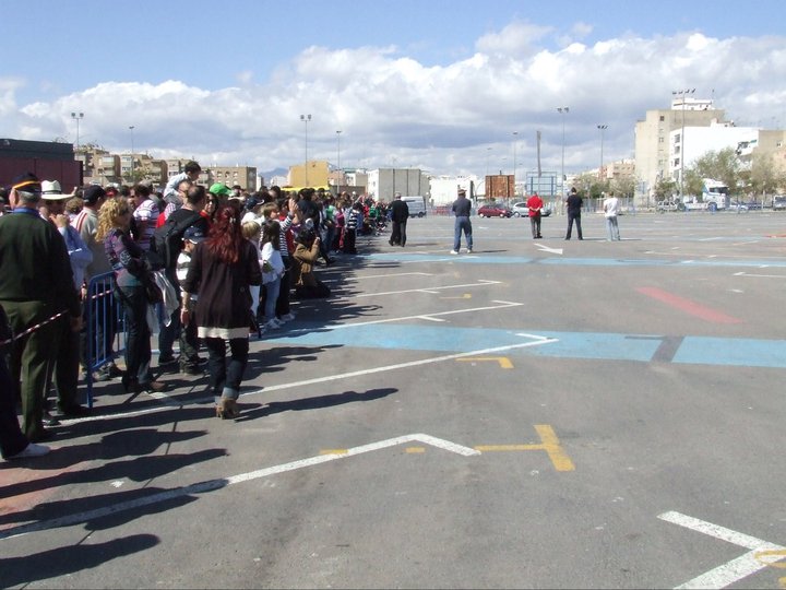 7ª IMAGEN DE LA FIESTA DE EXIBICIÓN  DEL RETIRO  BRIGADA DE SALTO DE ALICANTE