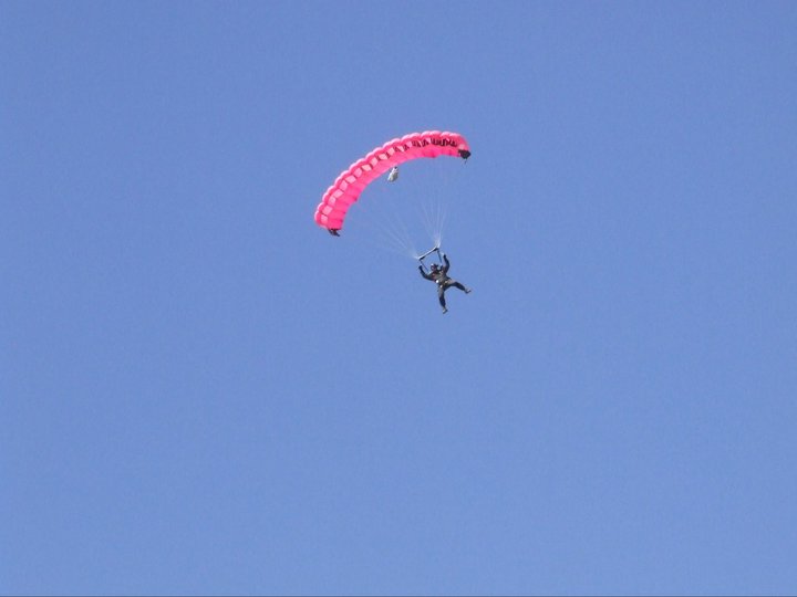 6ª imagen del homesaje de los saltadores paracaisistas de alicante
